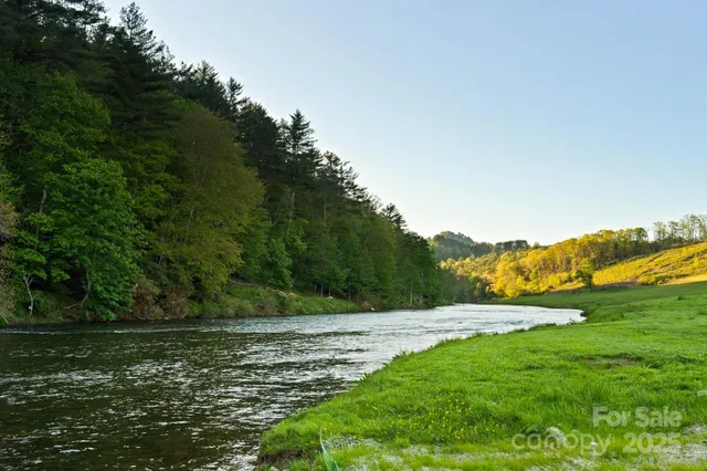 a view of a field with a tree
