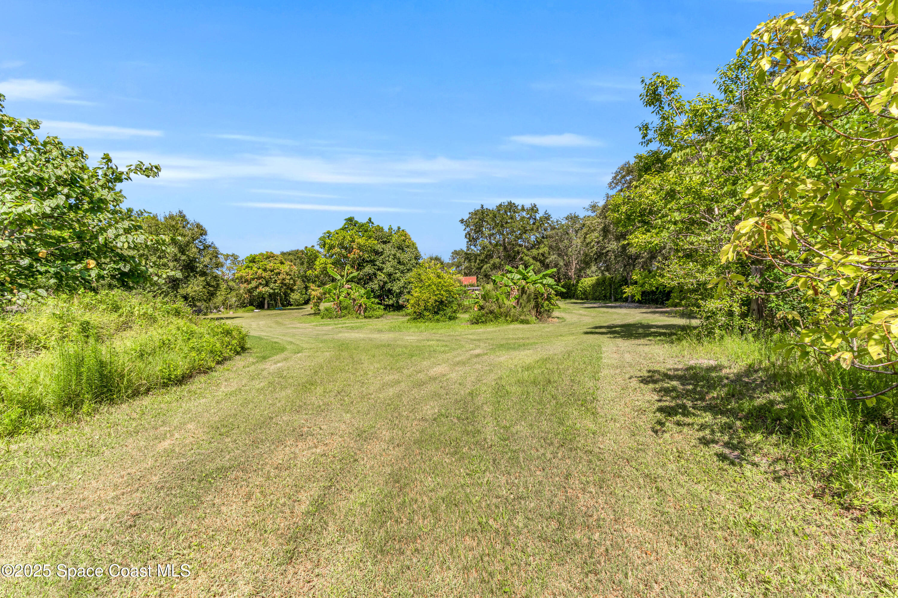 1980 Corey Road Malabar, FL 32950 - Photo 15 of 42 a view of yard with green space