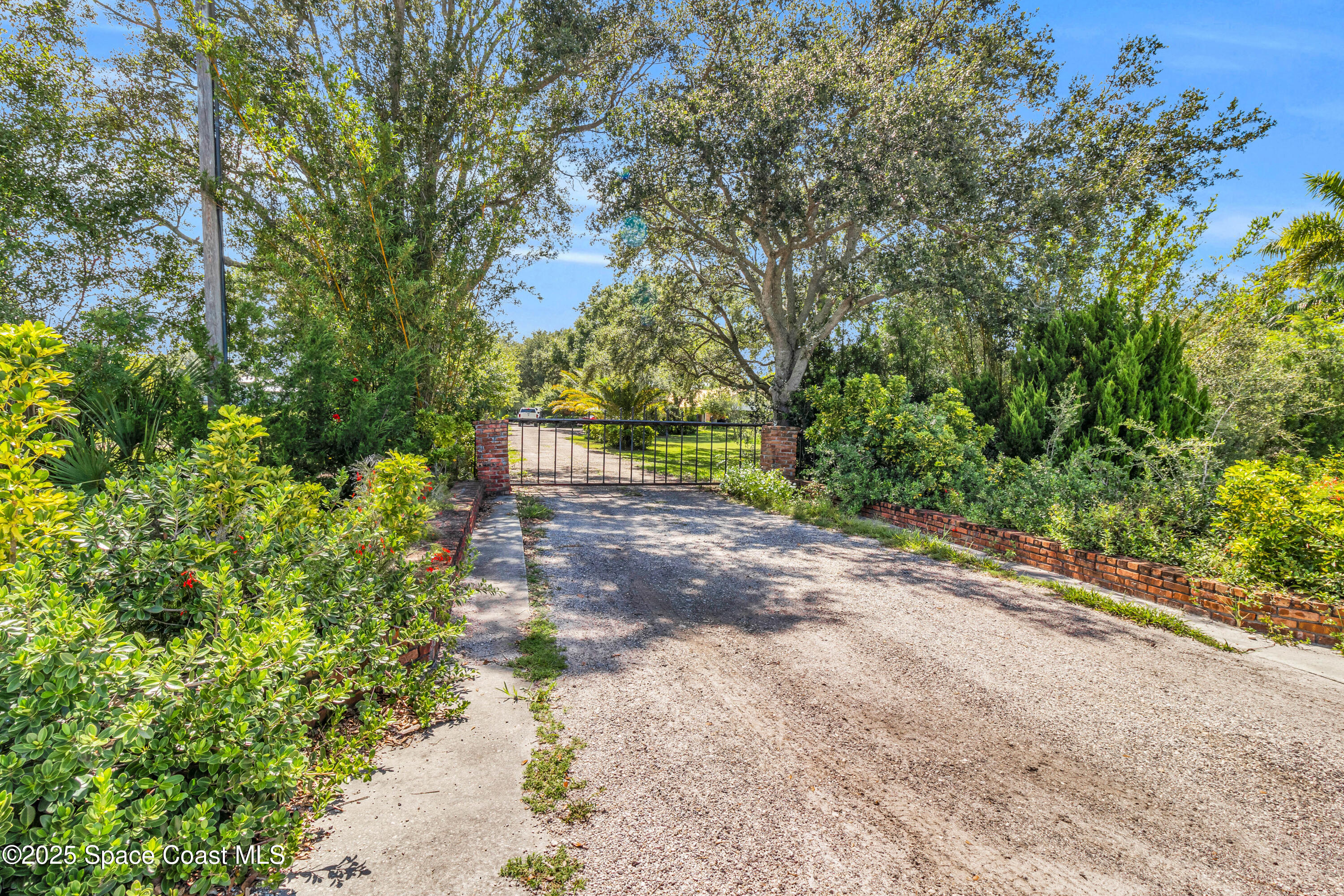 1980 Corey Road Malabar, FL 32950 - Photo 9 of 42 a view of a yard with plants and trees