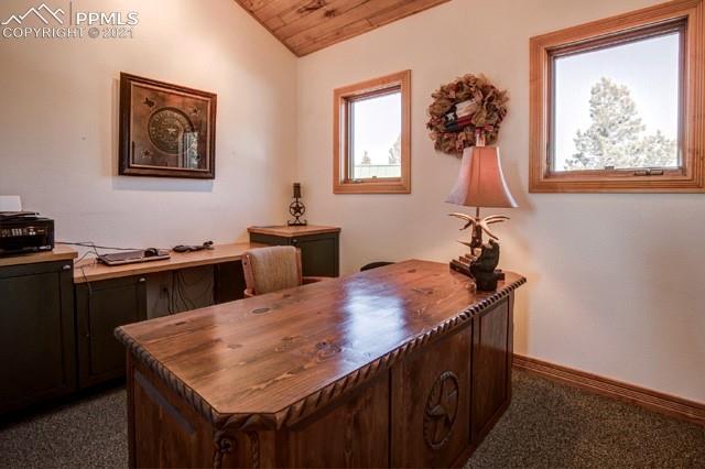 1115 Splendor Point Divide, CO 80814 - Photo 19 of 40