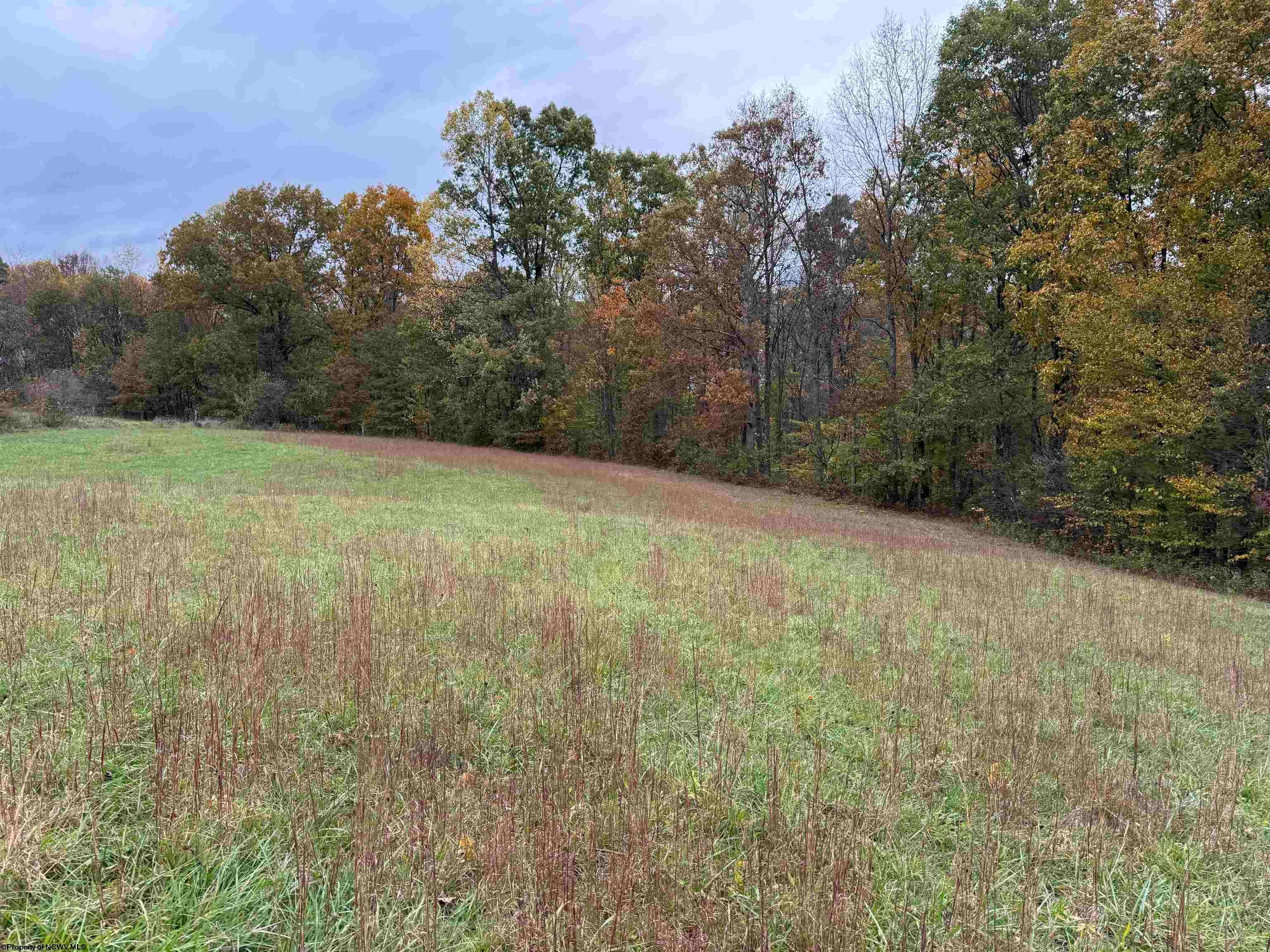 0 Riggins Kingwood, WV 26537 - Photo 20 of 40 Gallery Image 20