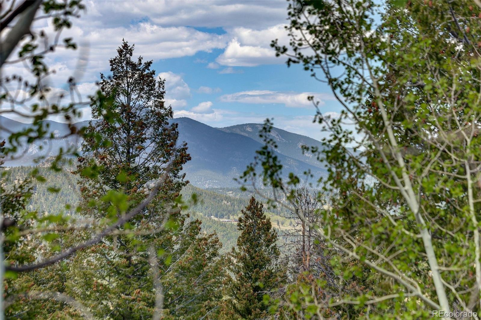 7765 Swaps Trail Evergreen, CO 80439 - Photo 26 of 49