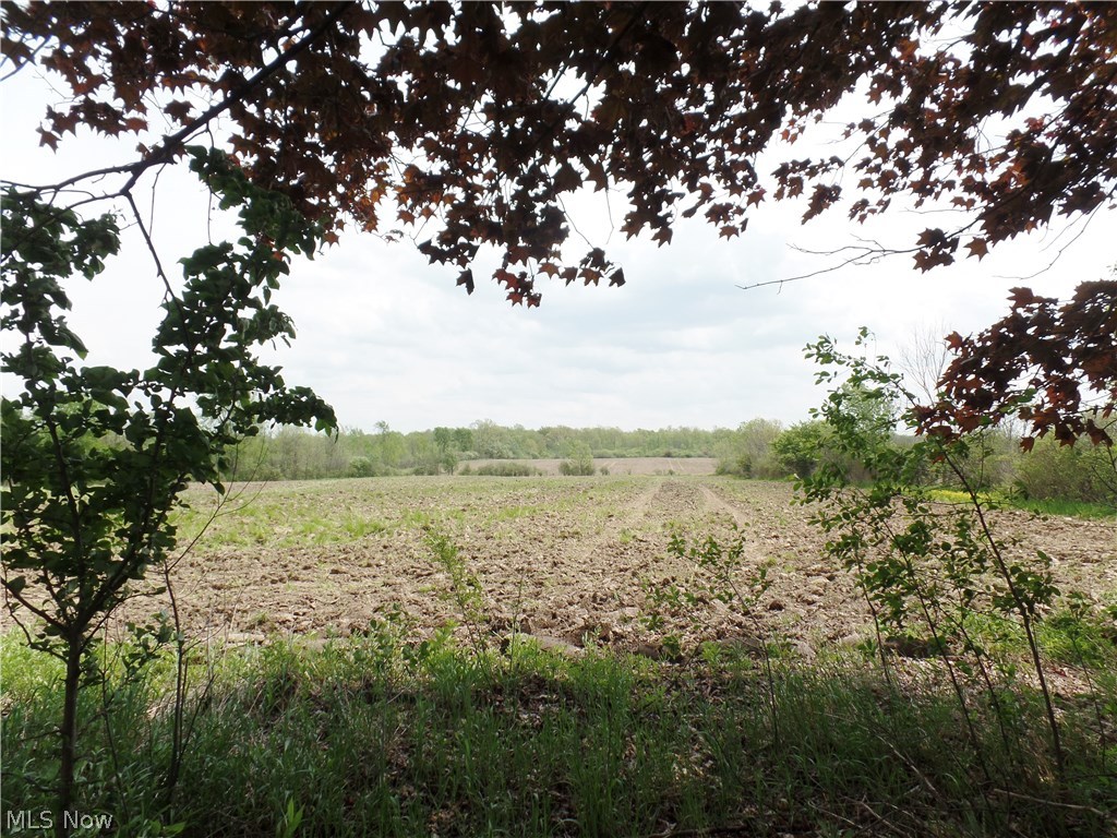 14595 Old State Road Middlefield, OH 44062 - Photo 11 of 18 Gallery Image 11