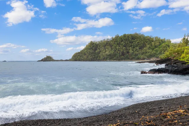 a view of a dry yard with wooden fence
