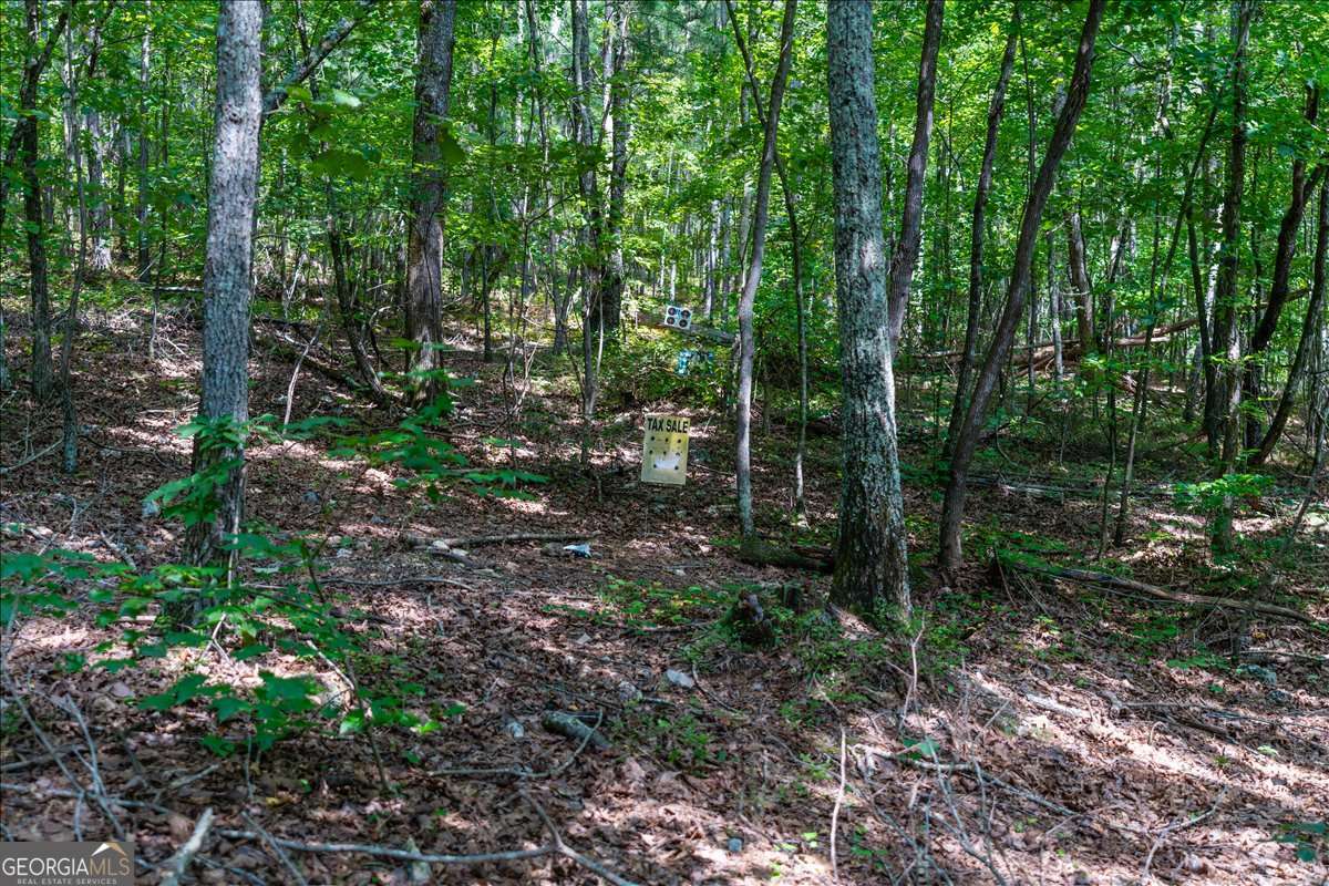 0 East Hermitage Road Northeast, Unit LOT 6 Rome, GA 30161 - Photo 12 of 44 a view of forest