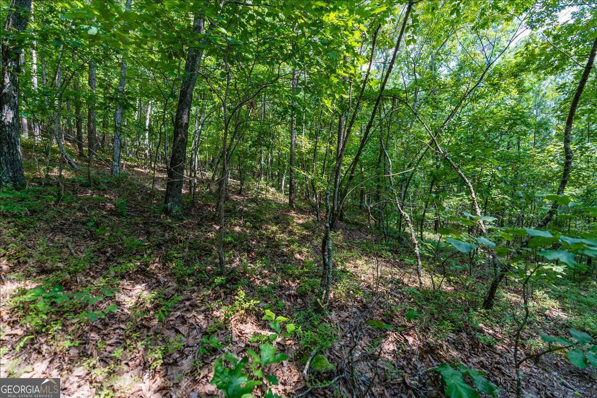 0 East Hermitage Road Northeast, Unit LOT 6 Rome, GA 30161 - Photo 13 of 44 a view of a lush green forest
