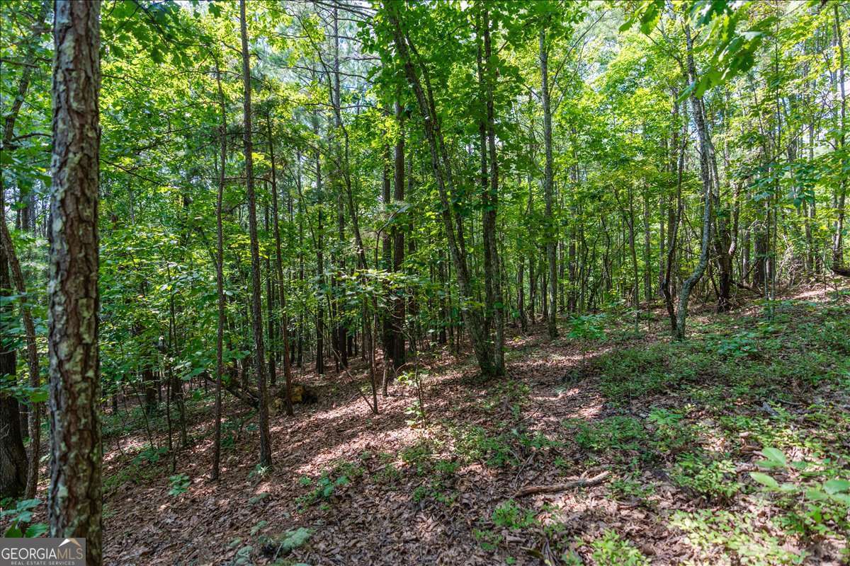 0 East Hermitage Road Northeast, Unit LOT 6 Rome, GA 30161 - Photo 14 of 44 a view of outdoor space and green space