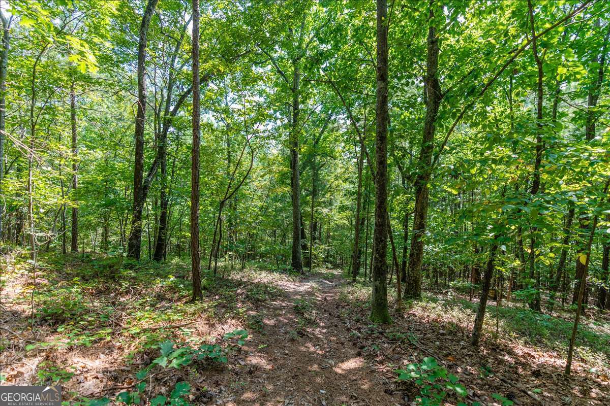 0 East Hermitage Road Northeast, Unit LOT 6 Rome, GA 30161 - Photo 15 of 44 a view of outdoor space and green space