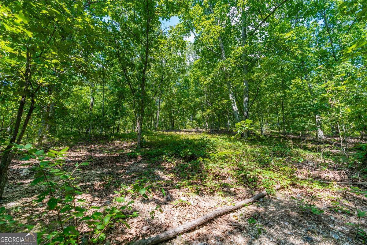 0 East Hermitage Road Northeast, Unit LOT 6 Rome, GA 30161 - Photo 17 of 44 a view of a lush green forest