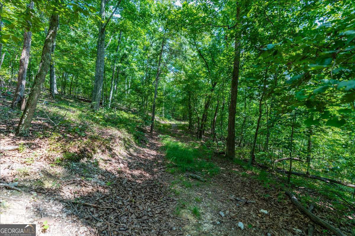 0 East Hermitage Road Northeast, Unit LOT 6 Rome, GA 30161 - Photo 18 of 44 a view of outdoor space and green space