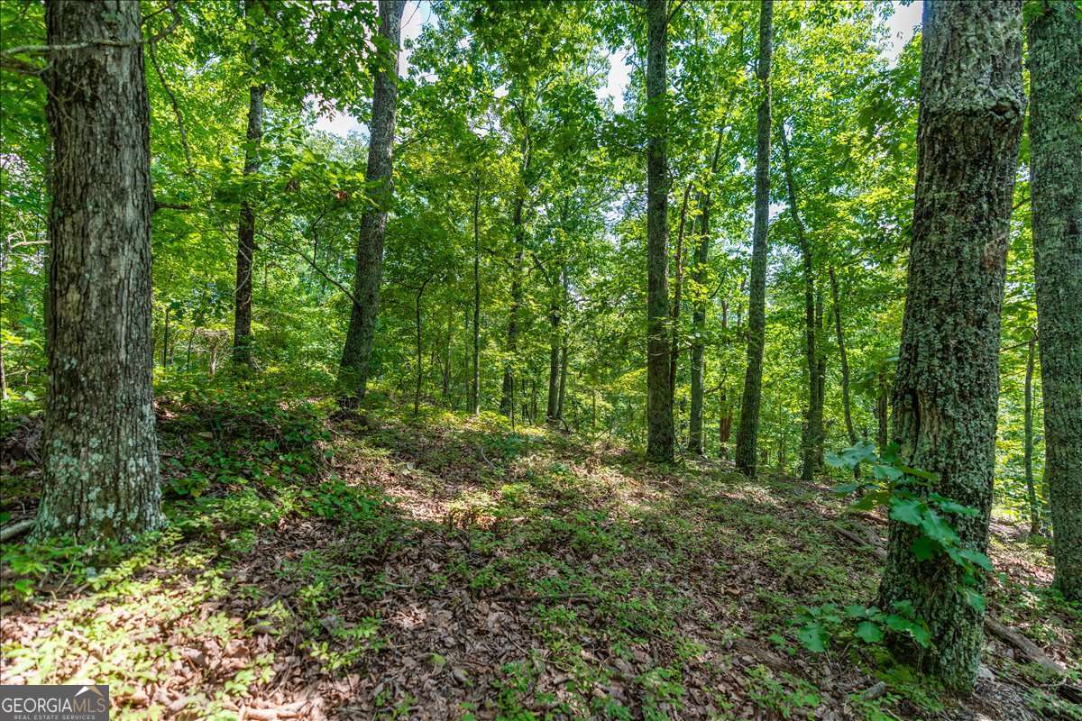 0 East Hermitage Road Northeast, Unit LOT 6 Rome, GA 30161 - Photo 19 of 44 a view of outdoor space and green space