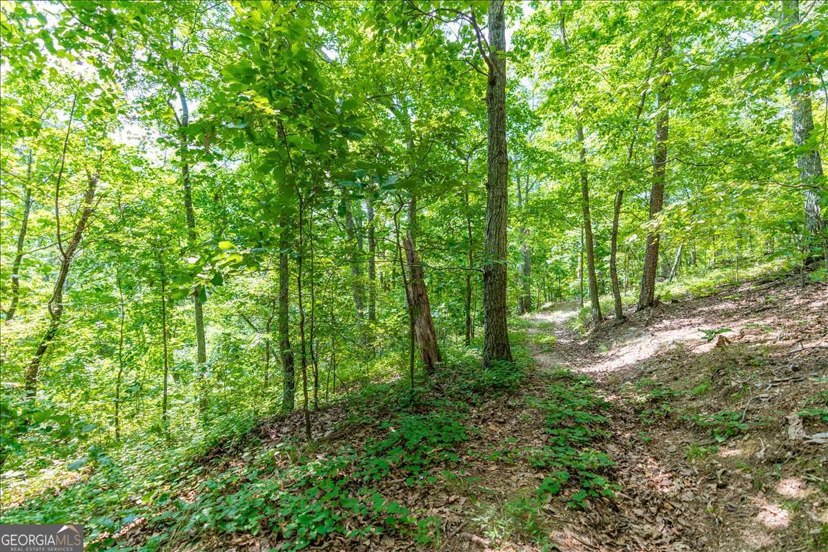 0 East Hermitage Road Northeast, Unit LOT 6 Rome, GA 30161 - Photo 21 of 44 a view of forest