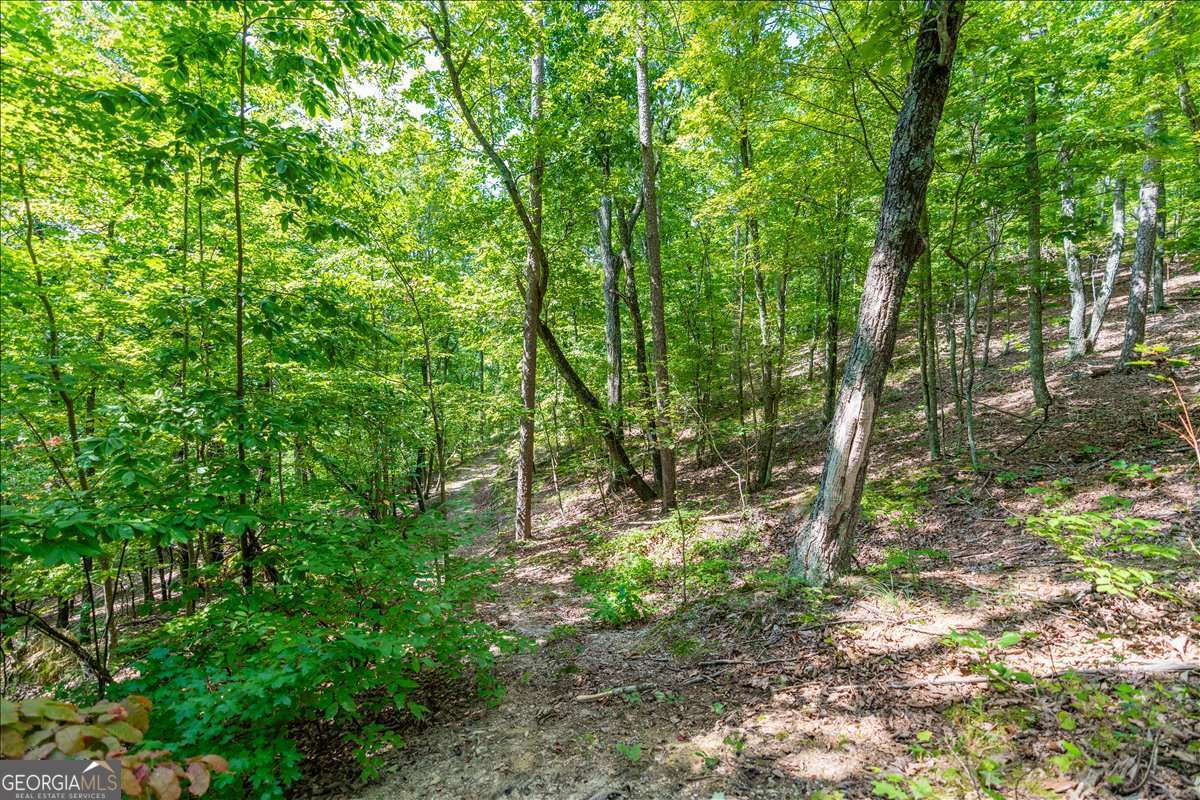 0 East Hermitage Road Northeast, Unit LOT 6 Rome, GA 30161 - Photo 23 of 44 a backyard of a house with lots of green space