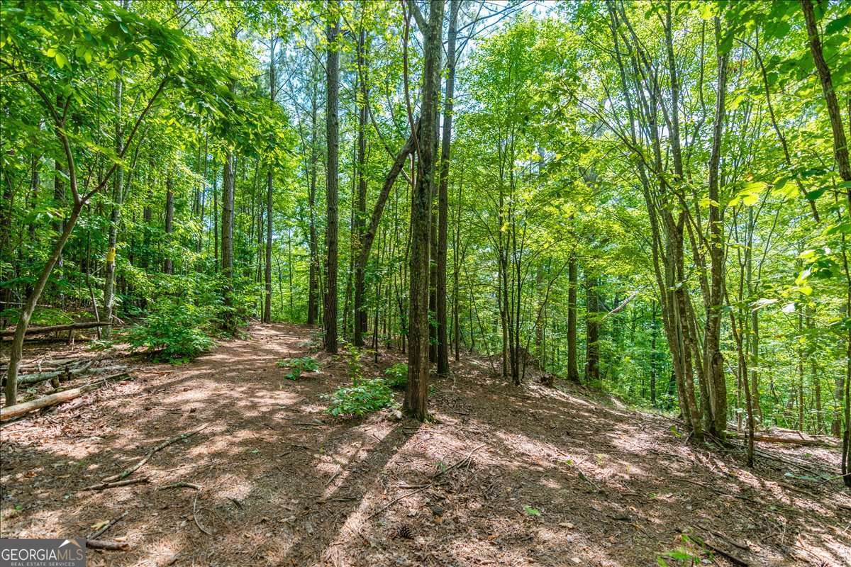 0 East Hermitage Road Northeast, Unit LOT 6 Rome, GA 30161 - Photo 24 of 44 a view of a forest with trees in the background