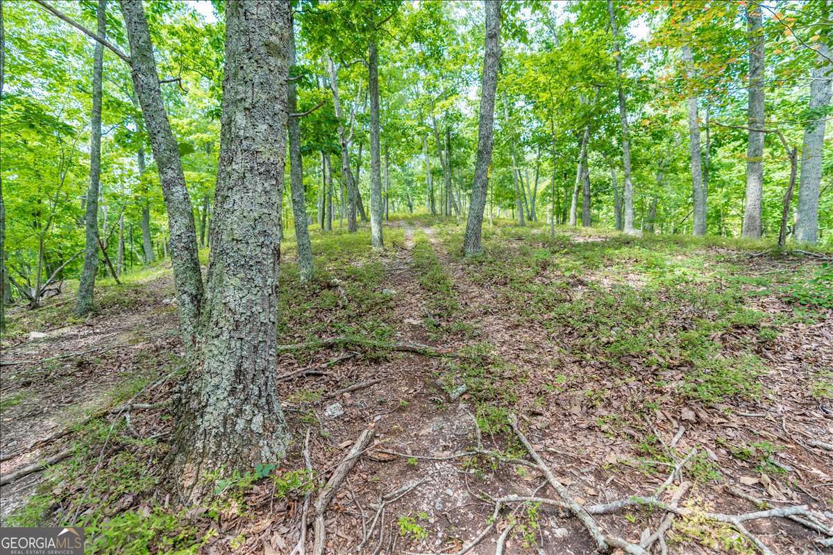 0 East Hermitage Road Northeast, Unit LOT 6 Rome, GA 30161 - Photo 25 of 44 a view of outdoor space and trees