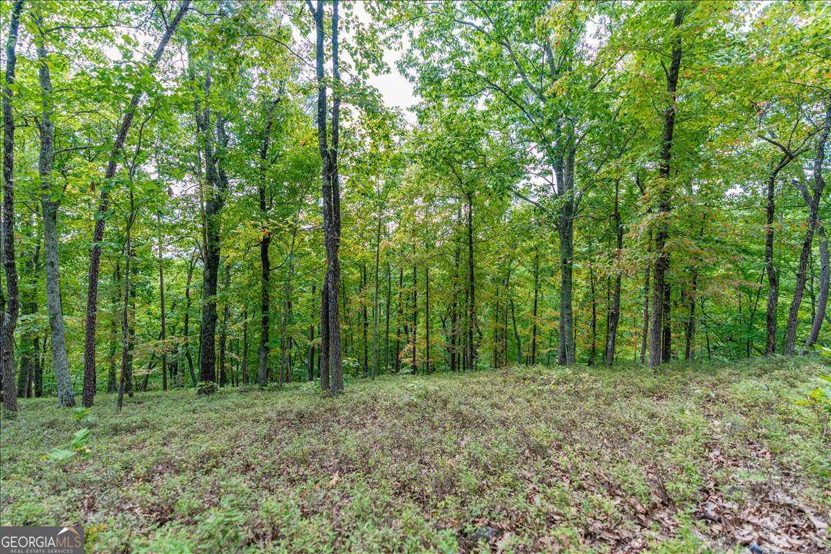 0 East Hermitage Road Northeast, Unit LOT 6 Rome, GA 30161 - Photo 26 of 44 a view of outdoor space and green space