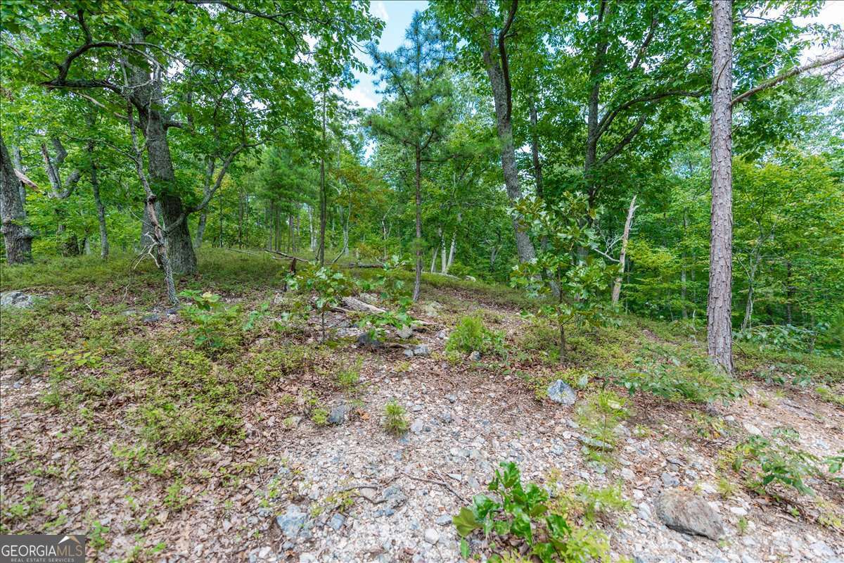 0 East Hermitage Road Northeast, Unit LOT 6 Rome, GA 30161 - Photo 27 of 44 a view of outdoor space and green space