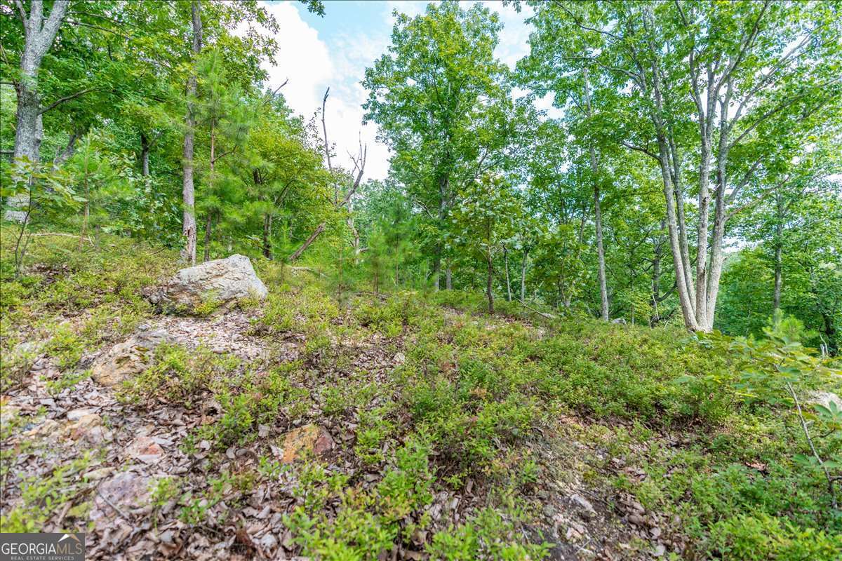 0 East Hermitage Road Northeast, Unit LOT 6 Rome, GA 30161 - Photo 30 of 44 a view of a lush green forest