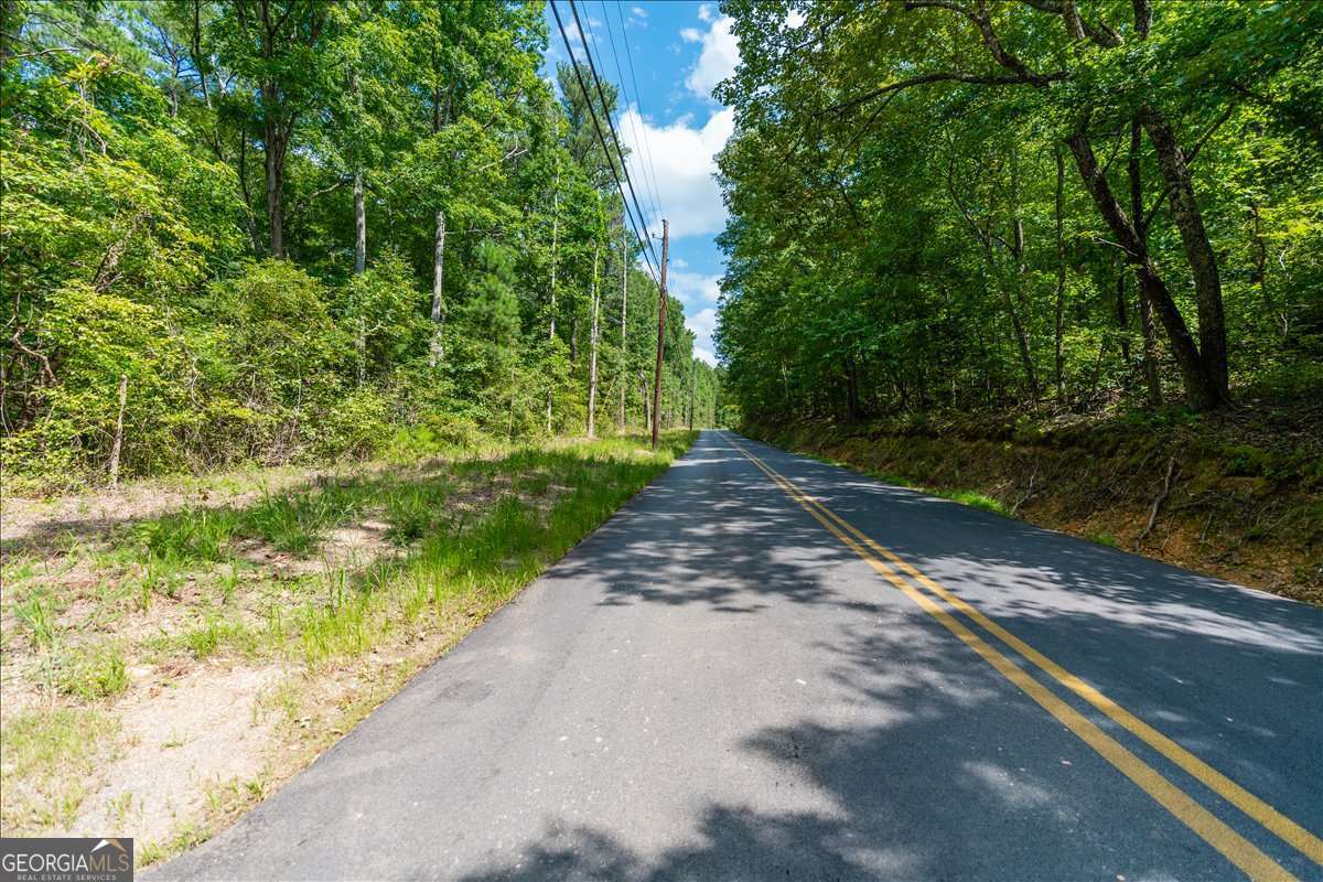 0 East Hermitage Road Northeast, Unit LOT 6 Rome, GA 30161 - Photo 3 of 44 a view of a pathway both side of yard