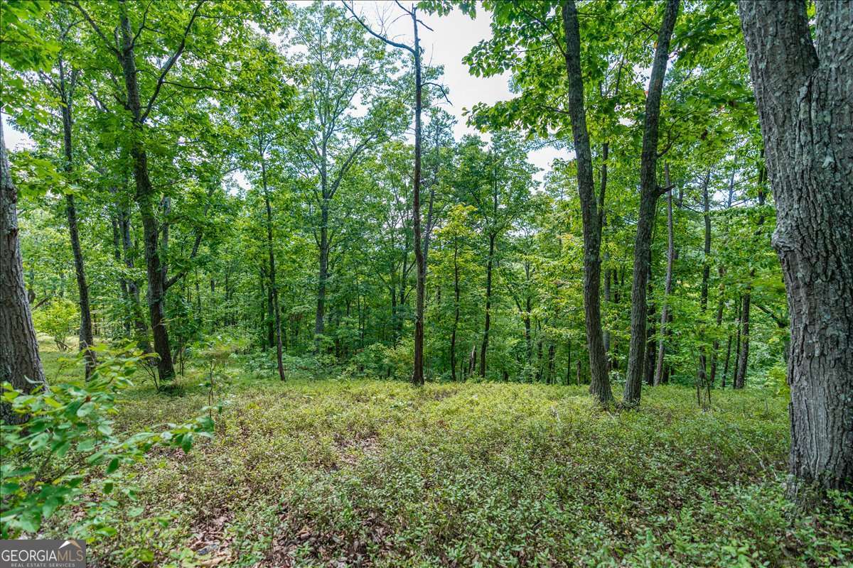 0 East Hermitage Road Northeast, Unit LOT 6 Rome, GA 30161 - Photo 31 of 44 a view of outdoor space and green space
