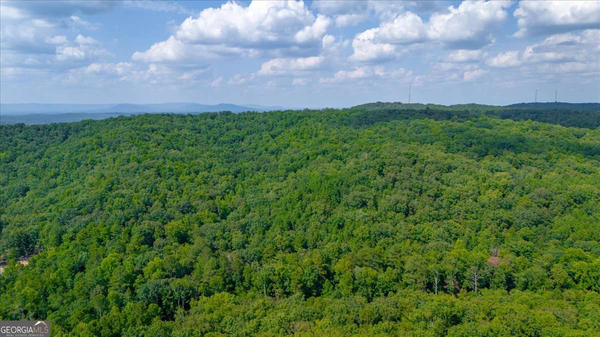 0 East Hermitage Road Northeast, Unit LOT 6 Rome, GA 30161 - Photo 36 of 44 a view of a big yard with lots of green space and mountain view
