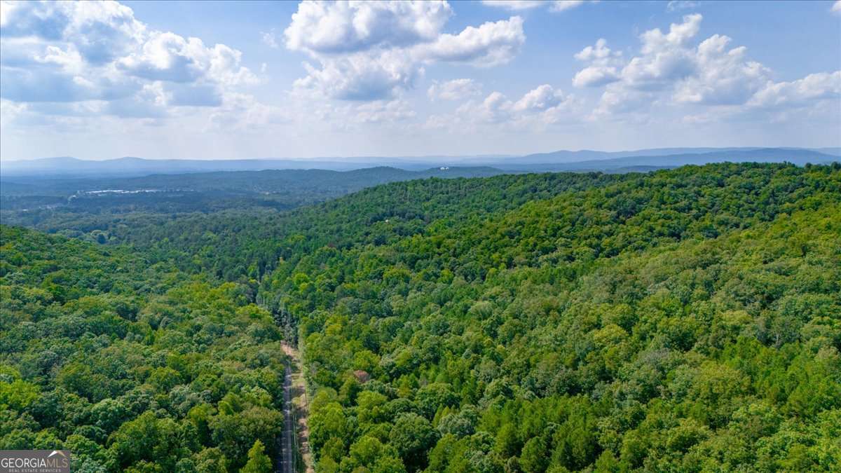 0 East Hermitage Road Northeast, Unit LOT 6 Rome, GA 30161 - Photo 37 of 44 a view of a bunch of trees