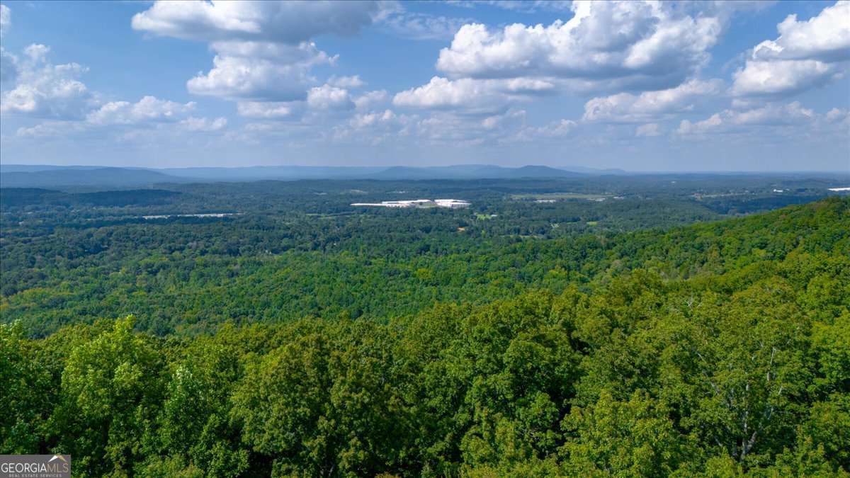 0 East Hermitage Road Northeast, Unit LOT 6 Rome, GA 30161 - Photo 38 of 44 a view of a big yard of grass and covered with lots of green space