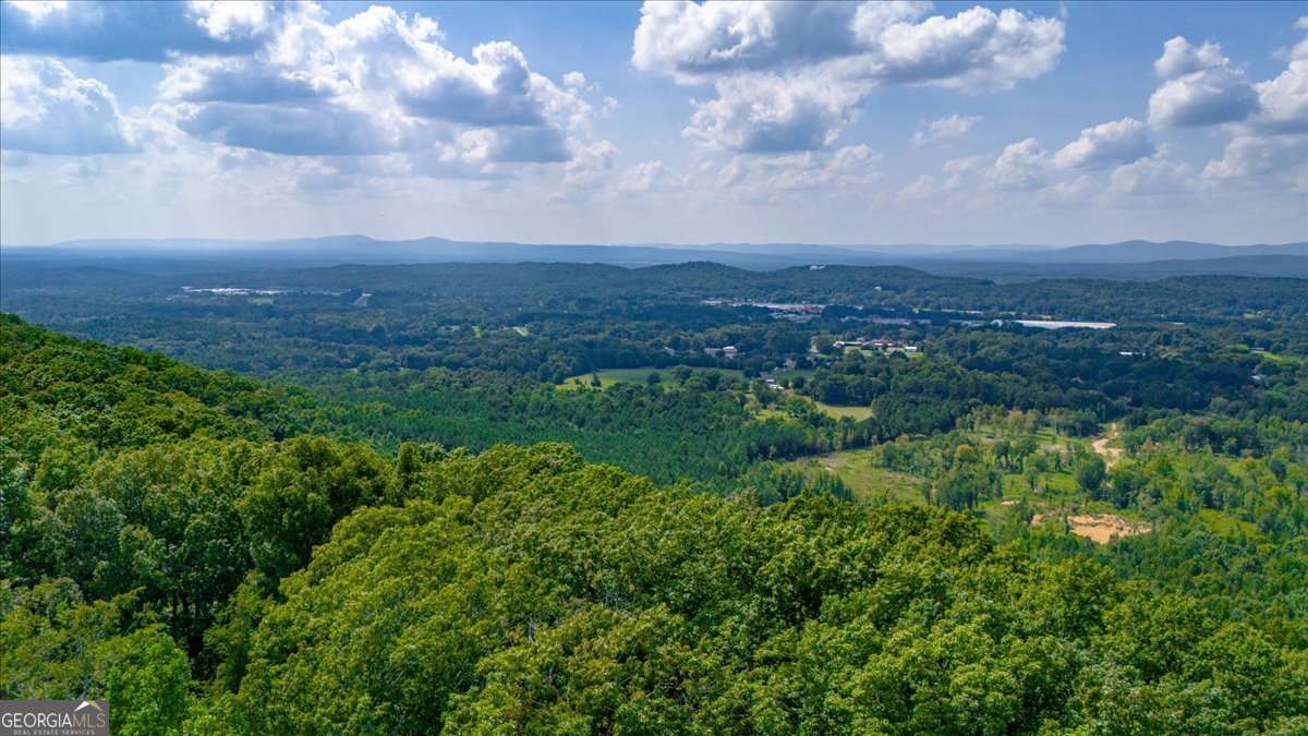0 East Hermitage Road Northeast, Unit LOT 6 Rome, GA 30161 - Photo 39 of 44 a view of a big yard of grass and covered with lots of green space