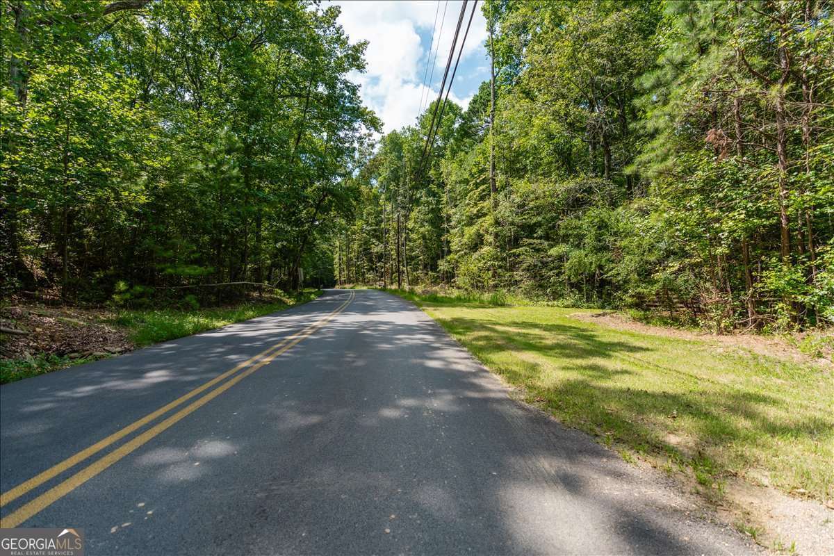 0 East Hermitage Road Northeast, Unit LOT 6 Rome, GA 30161 - Photo 4 of 44 a view of a yard with a trees