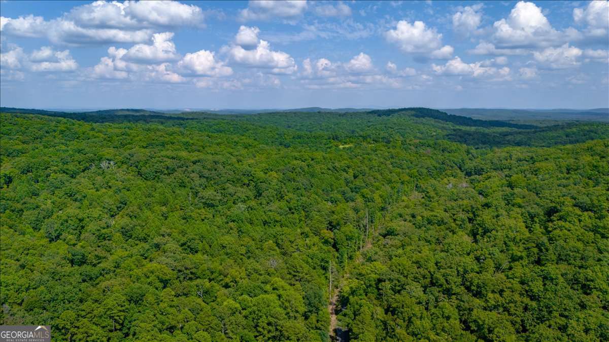 0 East Hermitage Road Northeast, Unit LOT 6 Rome, GA 30161 - Photo 41 of 44 a view of a field with a tree in front of it