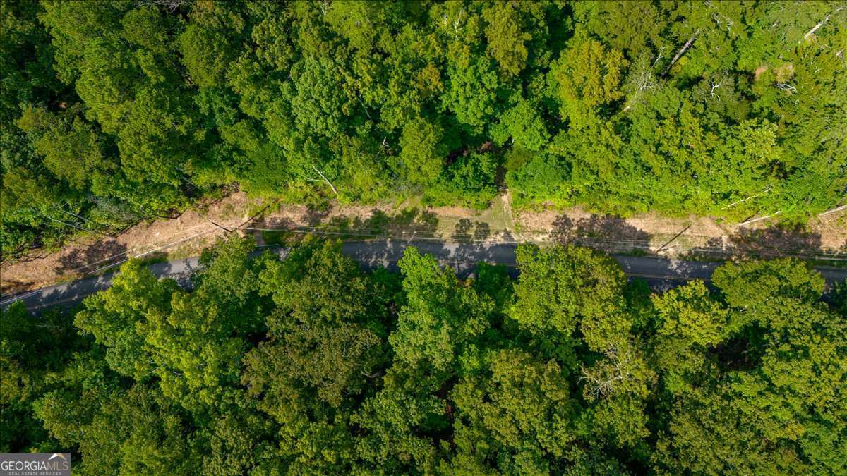 0 East Hermitage Road Northeast, Unit LOT 6 Rome, GA 30161 - Photo 42 of 44 a view of a lush green forest with large trees