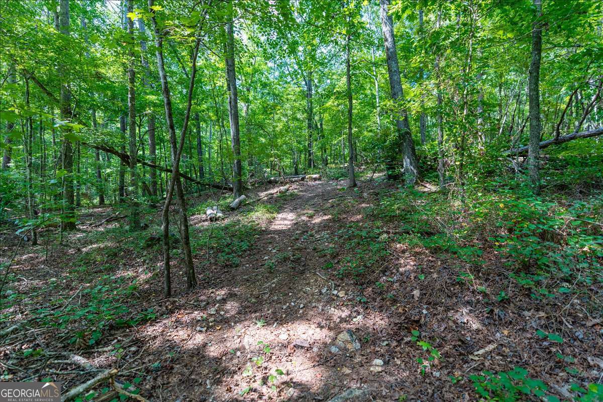 0 East Hermitage Road Northeast, Unit LOT 6 Rome, GA 30161 - Photo 8 of 44 a view of forest