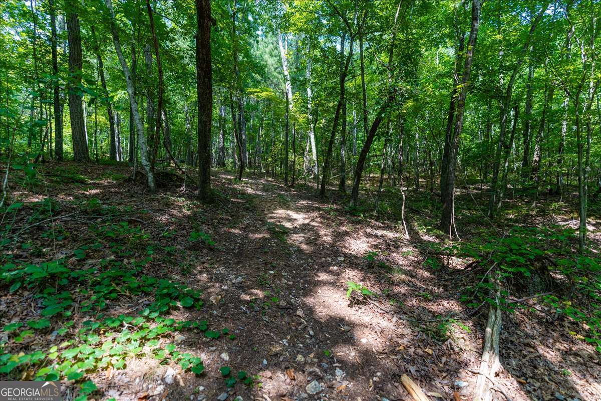 0 East Hermitage Road Northeast, Unit LOT 6 Rome, GA 30161 - Photo 9 of 44 a view of outdoor space and green space