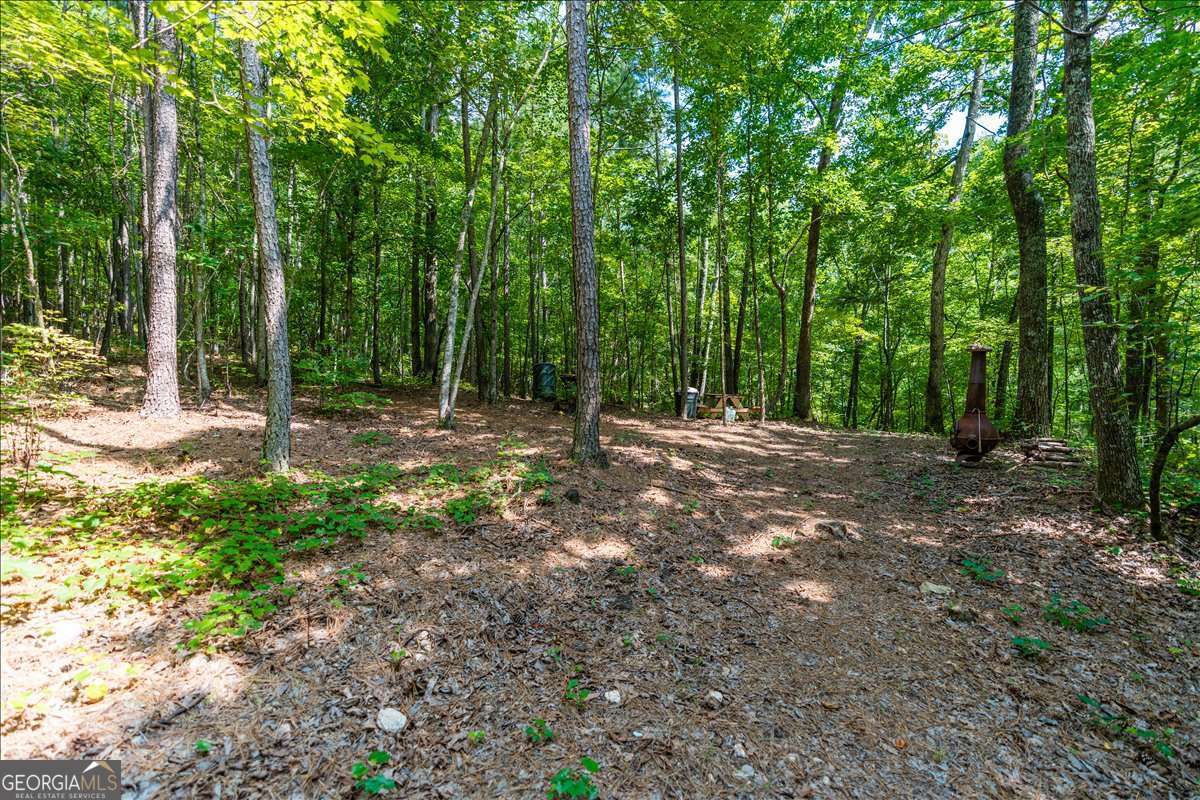 0 East Hermitage Road Northeast, Unit LOT 6 Rome, GA 30161 - Photo 10 of 44 a view of outdoor space with trees all around
