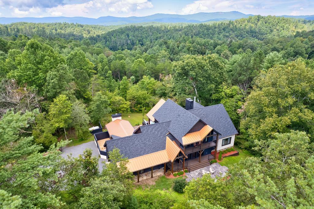 312 Charles Road Ellijay, GA 30540 - Photo 1 of 60 Main View