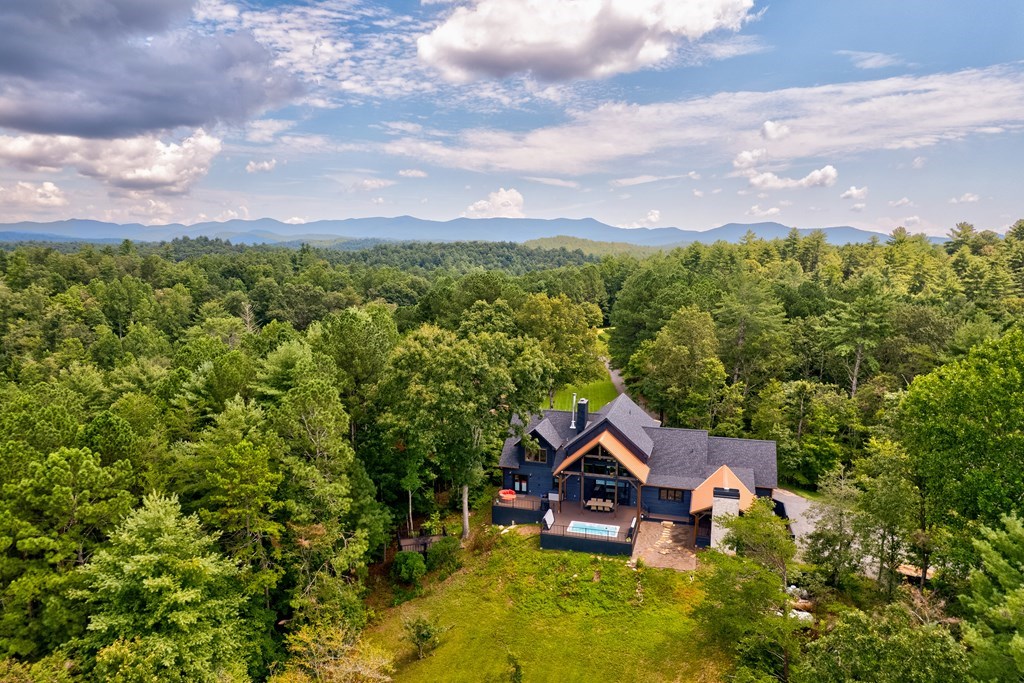 312 Charles Road Ellijay, GA 30540 - Photo 2 of 60