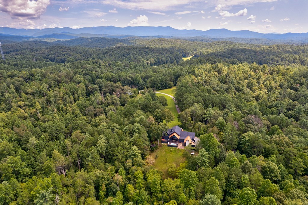 312 Charles Road Ellijay, GA 30540 - Photo 3 of 60