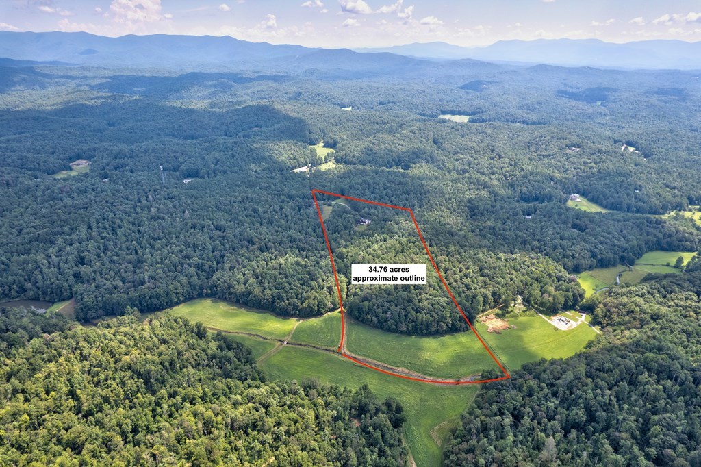 312 Charles Road Ellijay, GA 30540 - Photo 4 of 60