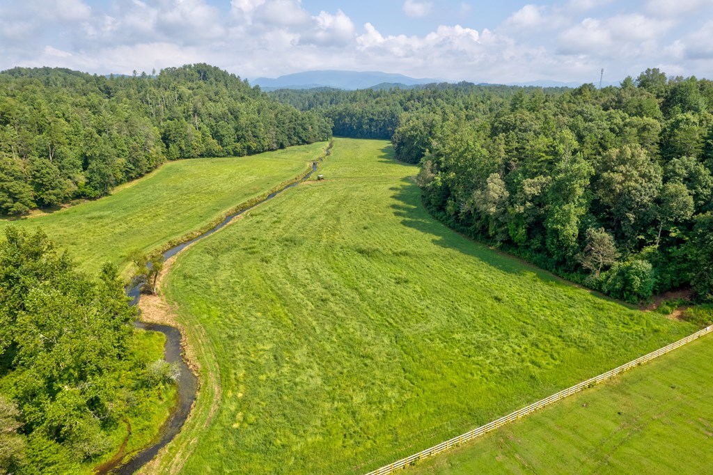 312 Charles Road Ellijay, GA 30540 - Photo 5 of 60