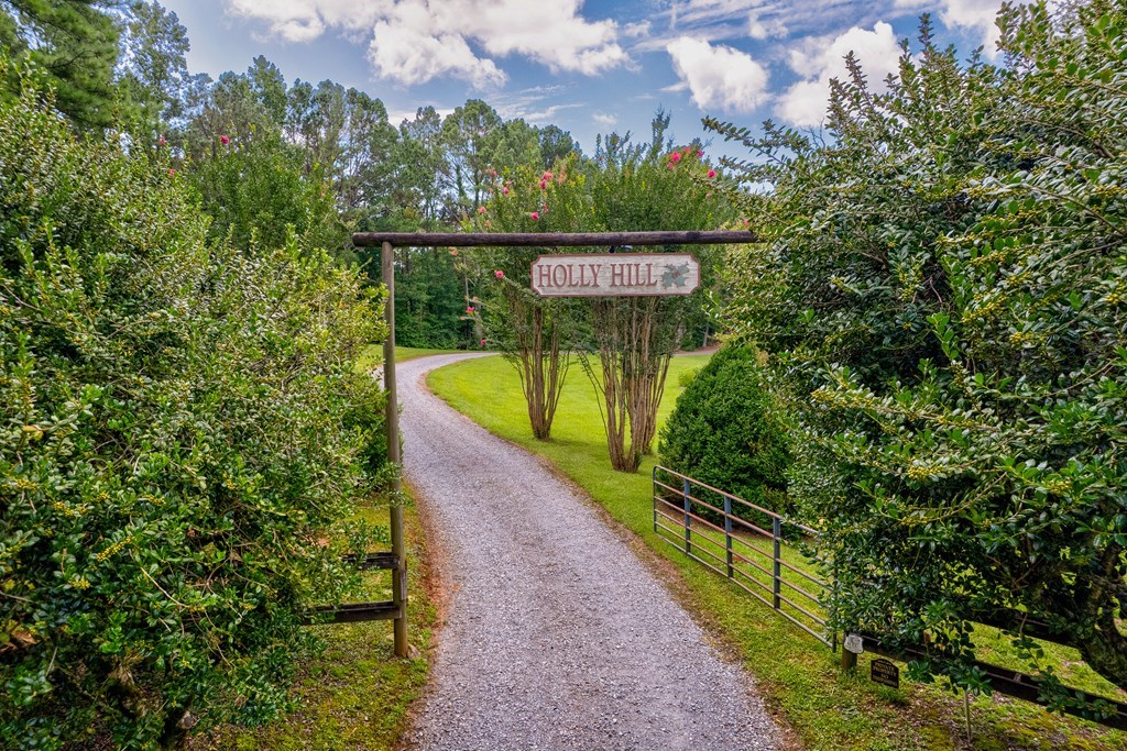 312 Charles Road Ellijay, GA 30540 - Photo 6 of 60