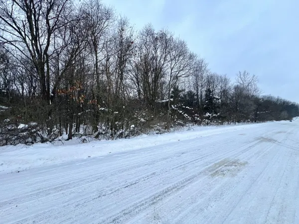 $50,000 | V/l North 15th Street, Niles, MI 49120