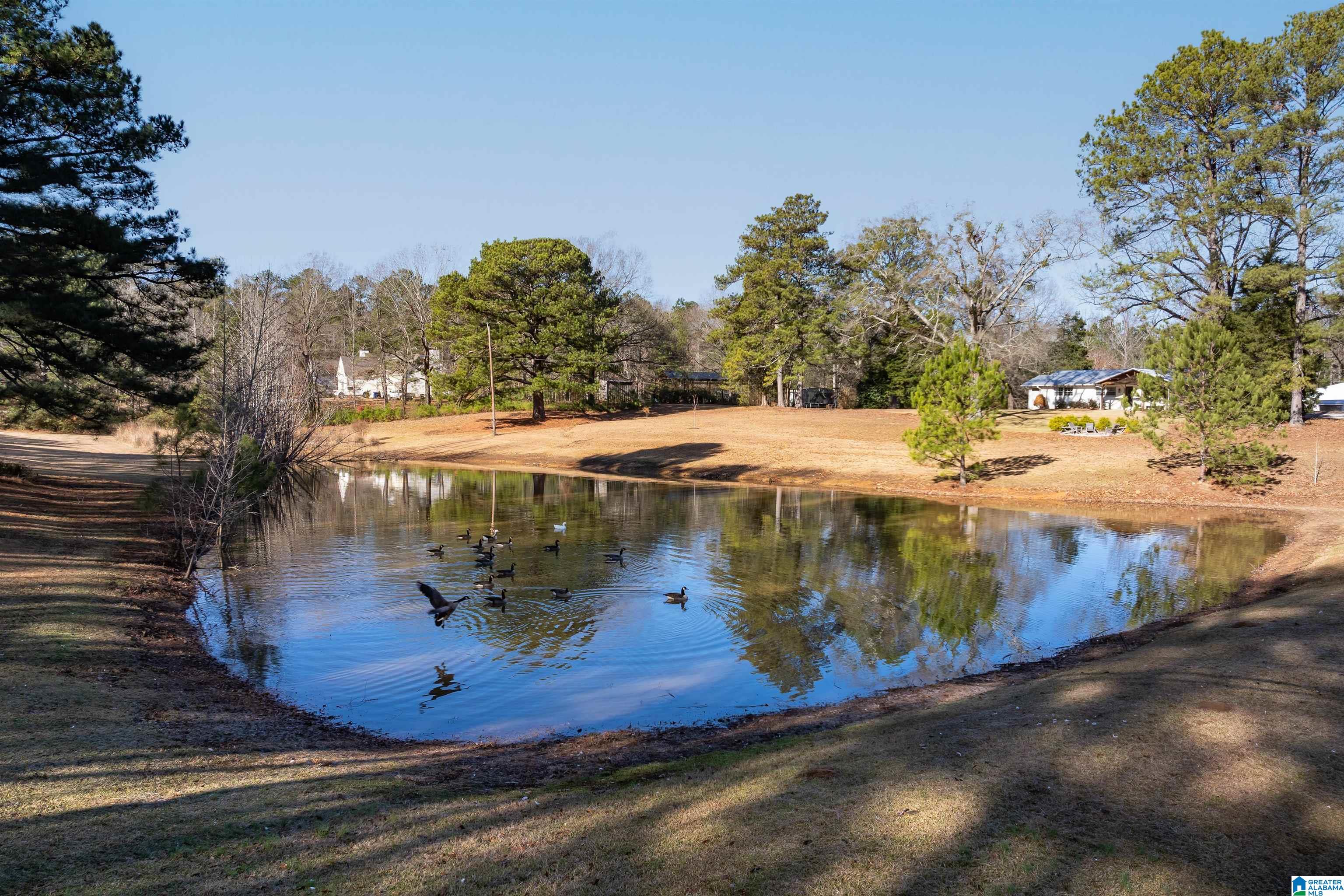 3342 County Road 39 Chelsea, AL 35043 - Photo 57 of 63