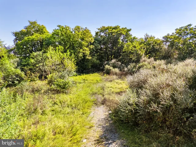 $1,499,000 | 1625 Amherst Street, Winchester, VA 22601