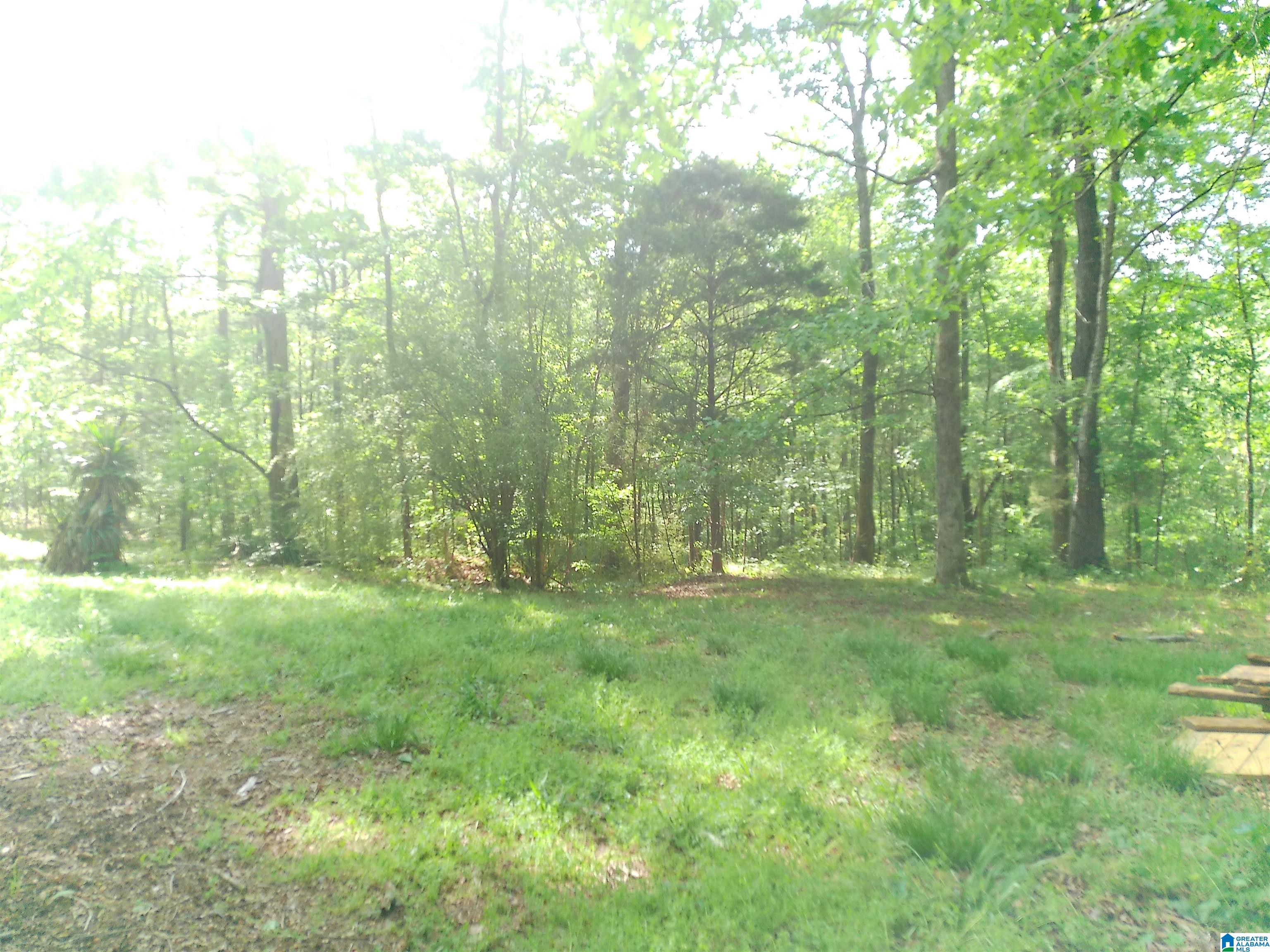 12156 Davis Creek Road McCalla, AL 35111 - Photo 33 of 38
