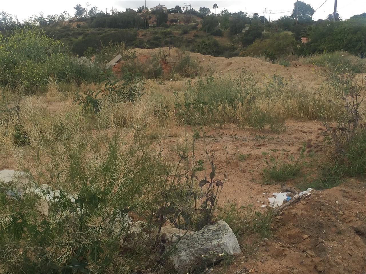 847 Mountain View Road El Cajon, CA 92021 - Photo 2 of 5