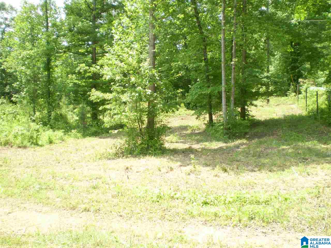 298 Waldrop Road, Unit TR 12 Ashville, AL 35953 - Photo 3 of 29