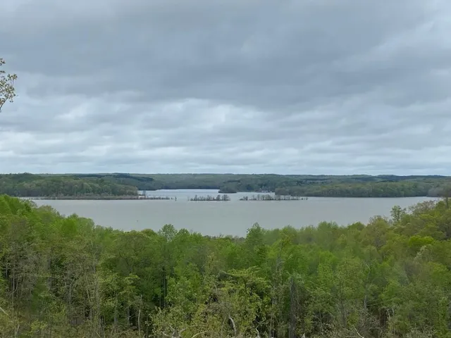 a view of a lake from a yard