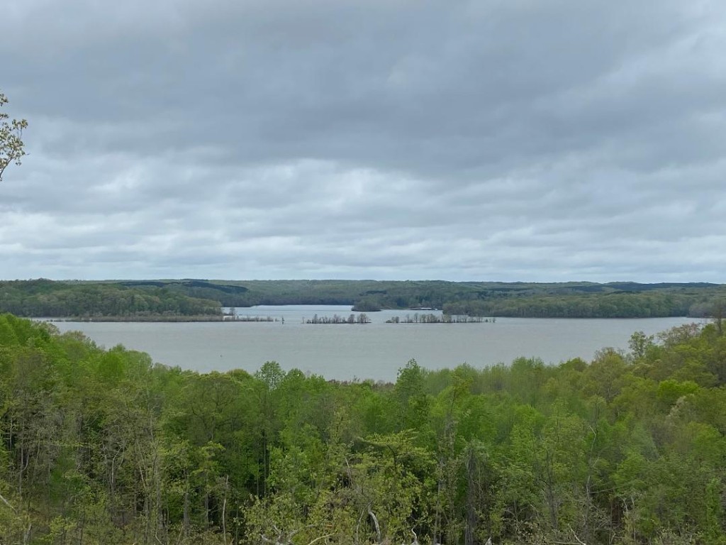 a view of a lake from a yard