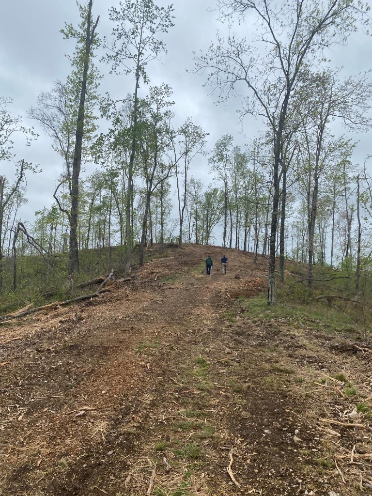 56 Ridge Top Road Stewart, TN 37175 - Photo 3 of 12 a view of dirt yard with large trees