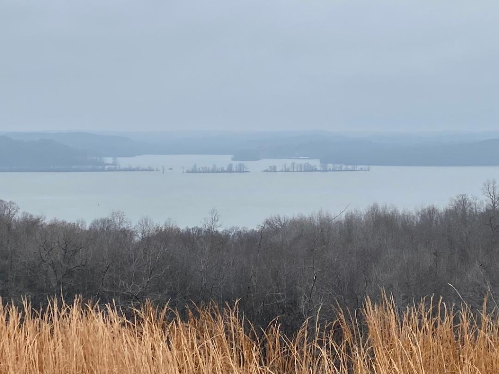 56 Ridge Top Road Stewart, TN 37175 - Photo 9 of 12 a view of mountain